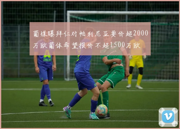 葡媒曝拜仁对帕利尼亚要价超2000万欧葡体希望报价不超1500万欧